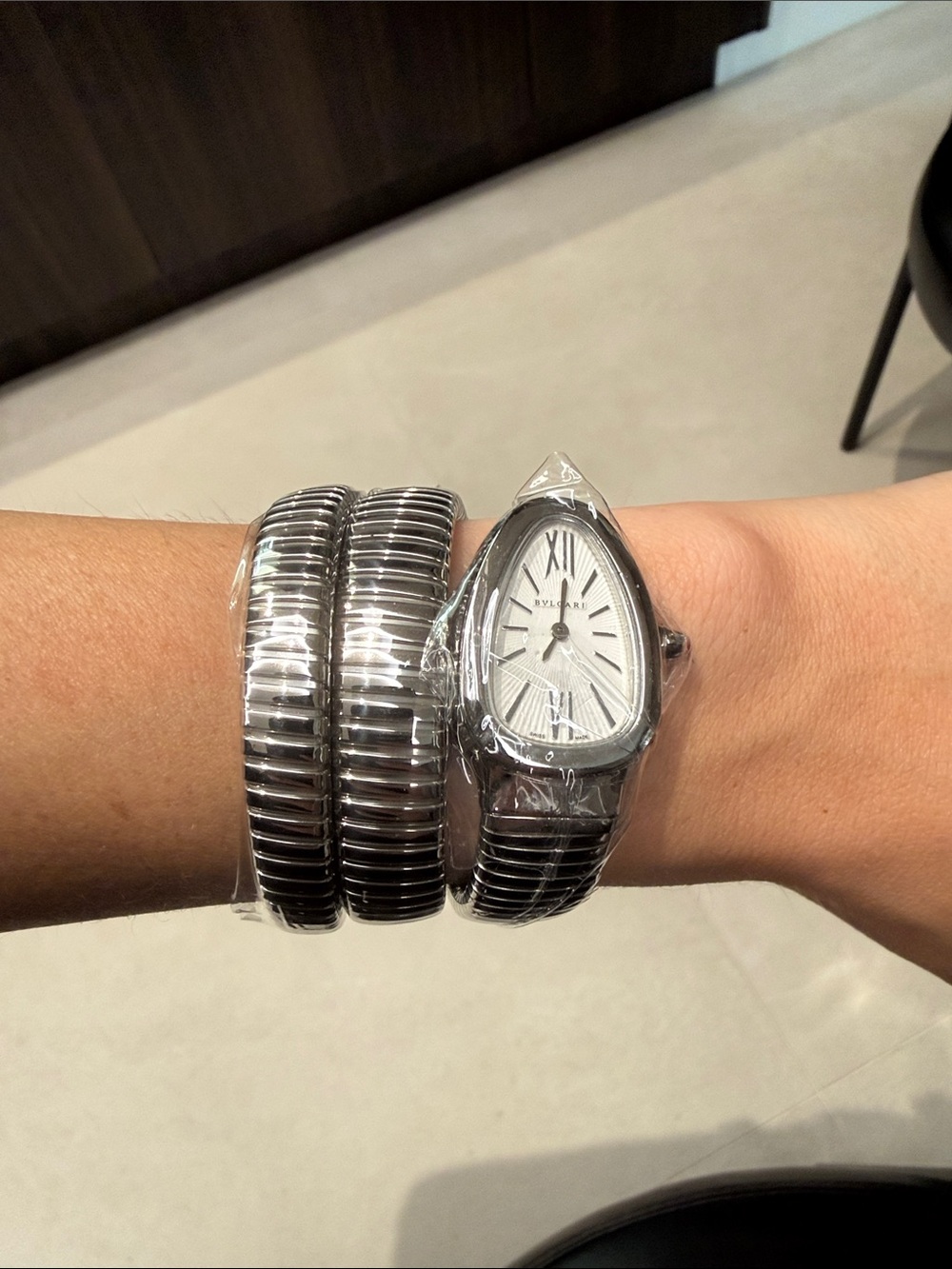 Stainless Steel Silver Snake-Style Women's Watch
